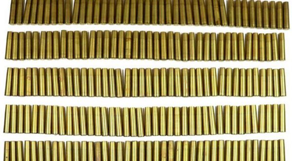 Пенсионерка из Мозырского района нашла в доме 227 боеприпасов