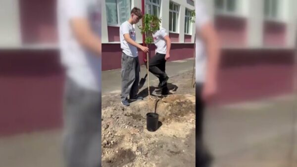 Семейная аллея «НАШИ» появилась в Мозырском государственном областном лицее