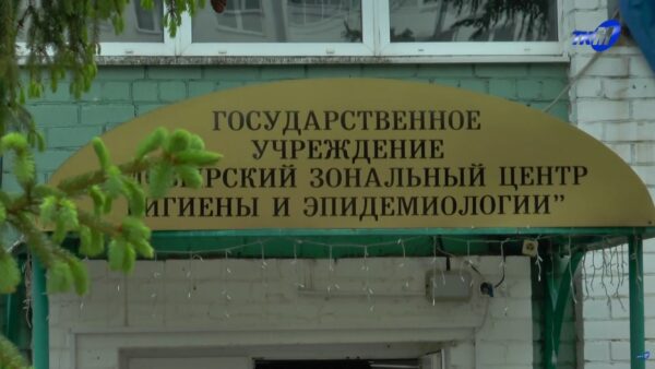 Весенняя напасть: что делать, если покусали мошки, и как пережить этот сезон