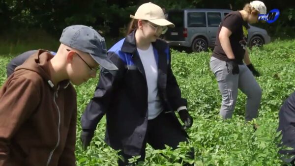 Лето с пользой! В эксбазе «Криничная» работает студотряд