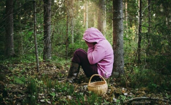 Как не заблудиться в лесу и что делать, если это случилось? Делимся полезными советами для мозырян