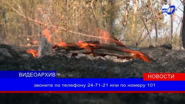 В лес сходить – штраф получить. В Мозырском районе продолжает действовать запрет на посещение лесов