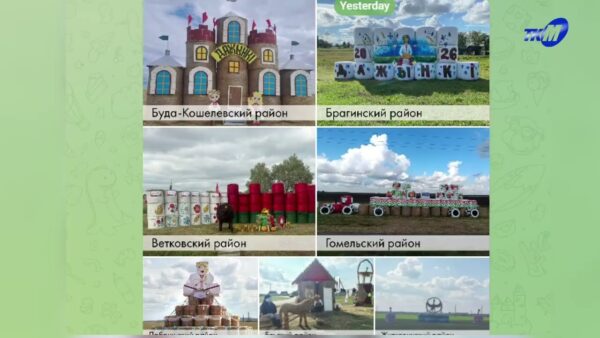 Голосуем за мозырский соломенный замок! Поддержите наш район!