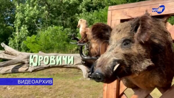 Интерактивный фестиваль «Мамонт.by» пройдет 5 сентября в агрогородке Юровичи Калинковичского района