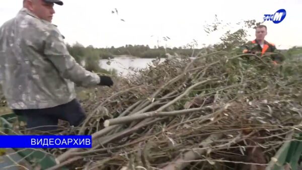 Первый осенний субботник в этом году будет областного масштаба, и назначен он на ближайшую субботу, 5 сентября