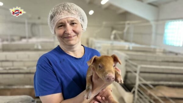Хорошие зарплаты, социальные выплаты и карьерный рост. Совхоз-комбинат «Заря» приглашает в свою команду