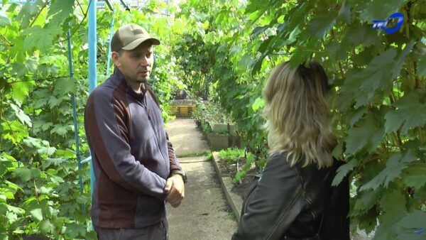 «Дожинки» семьи Пухальских