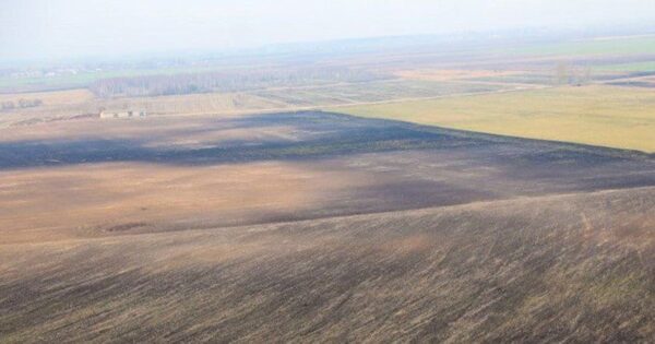 Из радиационно опасных земель отчуждения исключены участки в пяти районах Гомельской области