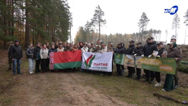 Республиканская акция «Дай лесу новае жыццё» шагает по Мозырщине